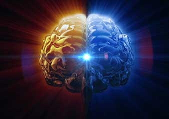 Brain Preservation and Restoration